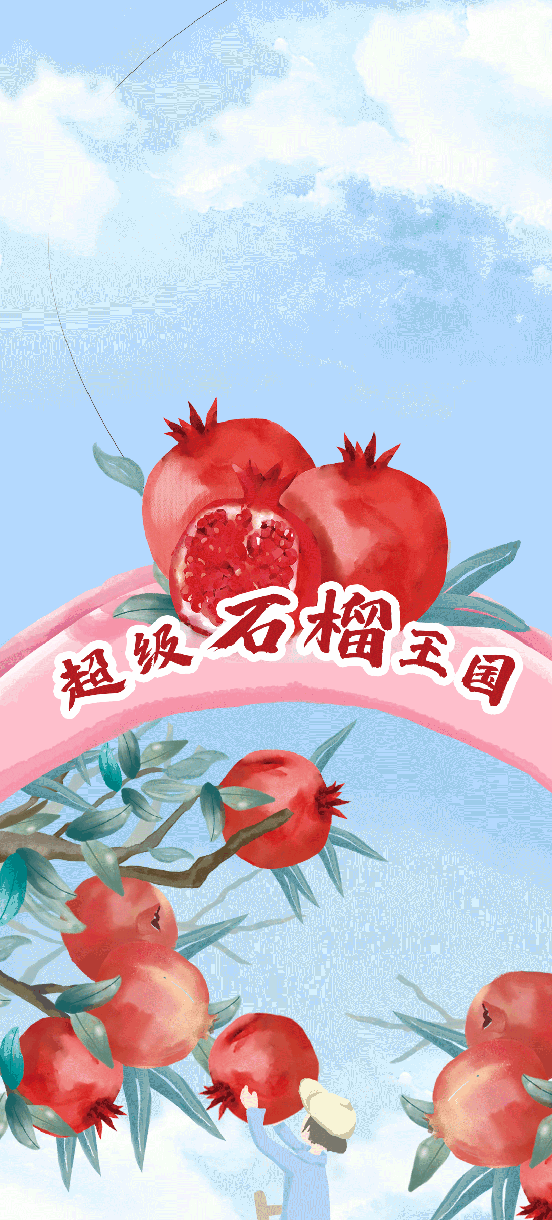 球信网茶饮石榴新品